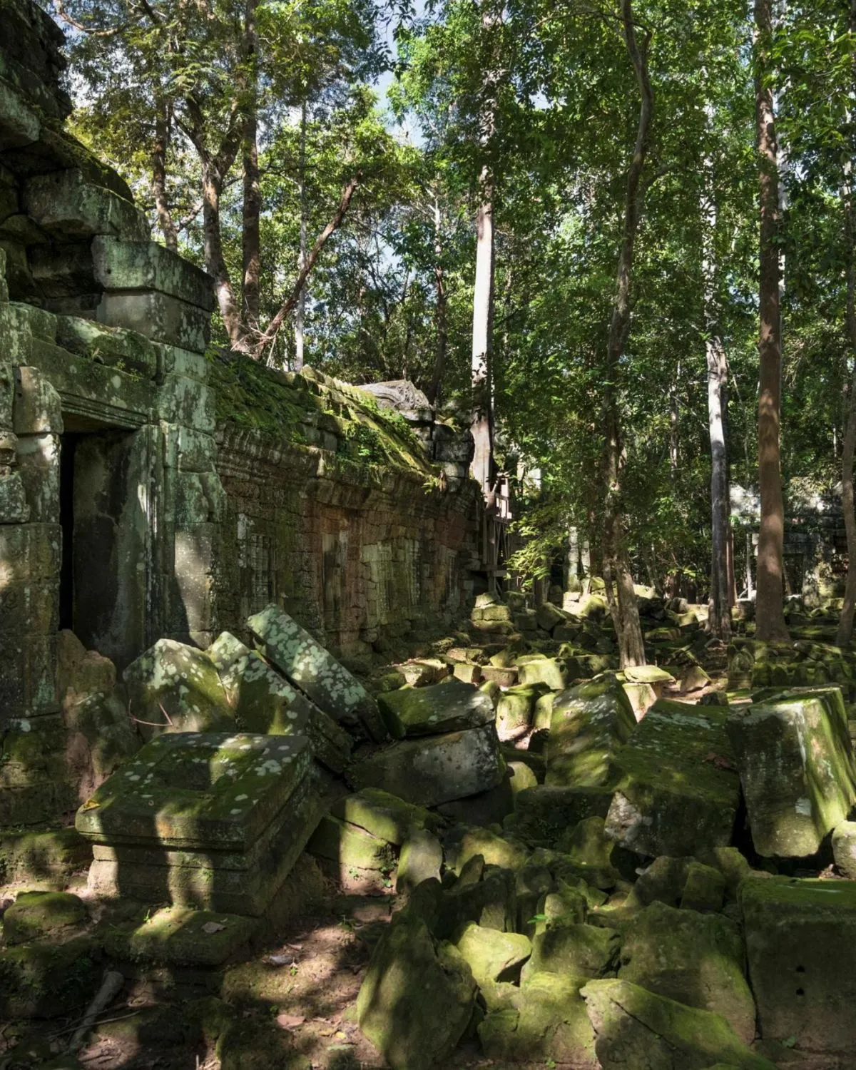 Sunlight filtering through the jungle canopy onto ancient meditation spots