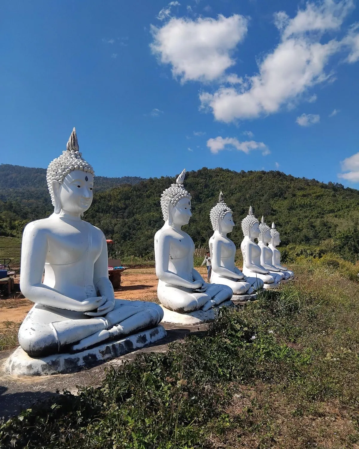 Stone statues with orange sashes on a jungle path